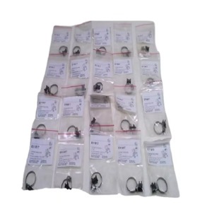 Correa de Fijación E11817 Nueva y Original para Cilindros de Cuerpo Liso 233279, Controlador de Programación PLC - Product Image 1