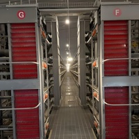 Cage à poules pondeuses de type H entièrement automatique pour une aviculture efficace