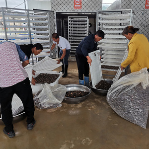 Guoxin Mangga Kering/Sabut Kelapa/Pompa Panas Anggur Pengering Makanan Mesin Pengering Buah Mesin Pengering Buah - Product Image 5