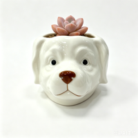 OEM ODM Nouveau Pot à Succulentes en Céramique 3D Créatif Chien Chat Mignon, Pot de Fleurs en Porcelaine Personnalisé Motif Animal Dessin Animé pour Bureau
