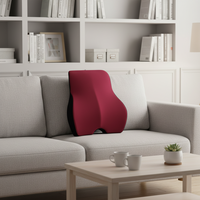 Coussin de Soutien Lombaire en Mousse à Mémoire de Forme Réglable Bidirectionnel pour Chaise de Bureau et Voiture, Ergonomique, Soulagement de la Douleur, Massage