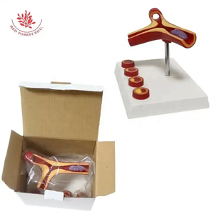Anatomía humana, arteria y vasos sanguíneos, Escuela de Medicina, enseñanza, modelo de ampliación de vasos sanguíneos, modelo de aterosclerosis humana - Product Image 4