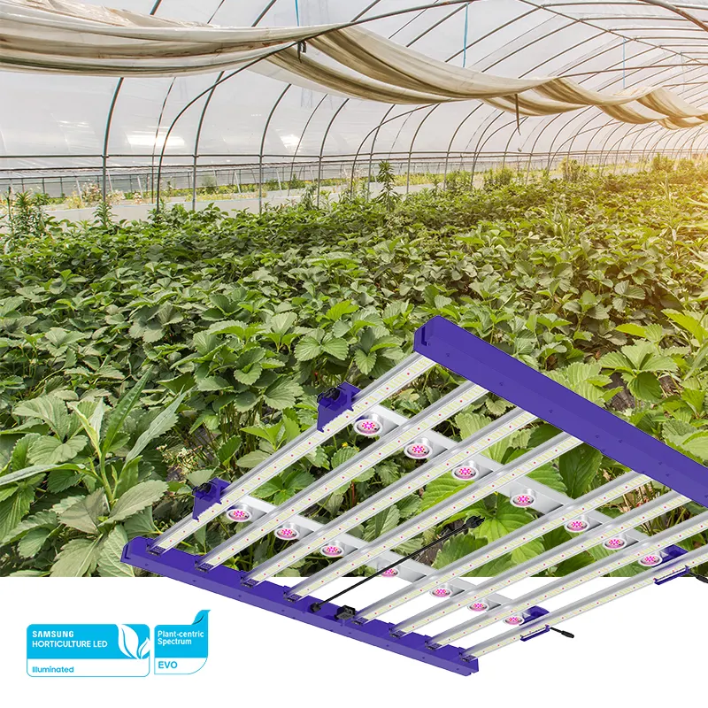 승진 실내 수직 농장 장비 600W 식물 성장 시스템 디 밍이 가능한 전체 스펙트럼 Led 성장 빛