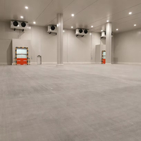 Chambre froide industrielle commerciale de grande capacité avec unité de condensation à compresseur à vis pour entrepôt de viande et de produits alimentaires