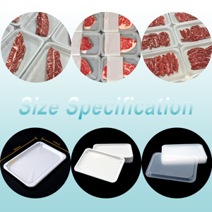 Customizable Small <strong>Disposable</strong> Food <strong>Tray</strong> with Leakproof Plastic <strong>tray</strong> for <strong>Dessert</strong> Packaging <strong>Disposable</strong> Food <strong>Tray</strong> - Product Image 2
