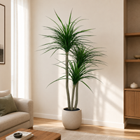 Arbre artificiel Dracaena 1,8 m en PE, plante artificielle Dragon à triple tronc, pot noir, réglable, résistant aux UV, écologique, pour intérieur