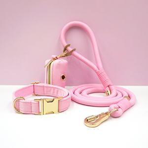 Topdeals 2025 Beste Nieuwe Producten Voor Hond Klassieke Polyester Hondenriem Set Zachte Fluwelen Hondenpoepzakhouder Op Maat Kraag Voor Huisdieren - Product Image 6