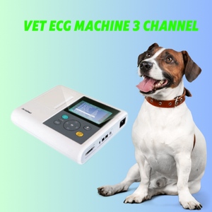 PET CARE Veterinary Equipment Ecg <strong>Machine</strong> 3 Channel Digital Cheap Ecg <strong>Machine</strong> Electrocardiograph - Product Image 2