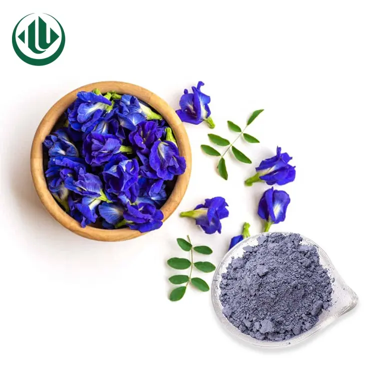 नि: शुल्क नमूने थोक थोक 100% प्राकृतिक 450 जाल तितली मटर फूल पाउडर नीले Matcha पाउडर