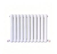 Radiateur vertical et horizontal en acier anthracite de design pour chauffage central à eau chaude dans les hôpitaux et les écoles