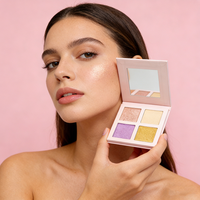 Enlumineur de maquillage en poudre scintillante et douce pour le corps, marque privée OEM, 11 couleurs