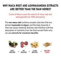 Cápsulas de Raíz de Maca Negra Personalizadas, Suplemento Herbal para la Fuerza Masculina y el Aumento de Glúteos y Caderas Femeninas