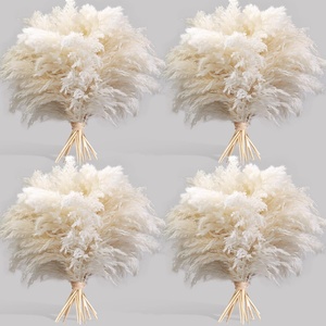 G25 Decoración para el Hogar, Ramo de Flores de Pampa Natural de 55 cm, Caja de Cartón de Larga Duración, Decoración para el Día de la Madre, Bodas, Pascua, Navidad - Product Image 1