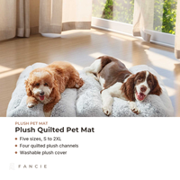 Coussin pour chien et chat en tissu peluche gris clair, lavable en machine, tapis pour animaux de compagnie pour cage, sol et voiture