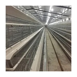 Hot A Type Design Breeding Equipment Automatic Feeding Of Broiler Layer Chicken Cage