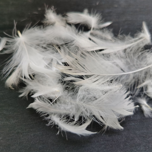 Rửa sạch vịt lông điền cho 5 sao khách sạn nhà sử dụng xuống gối, mền, nệm Topper không mùi làm đầy vật liệu - Product Image 4