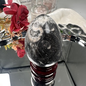 Huevo fósil de trilobita, Trilobita cristalizado, Huevo de trilobita fósilizado, Huevo de trilobita cristalino, Fósil de trilobita antiguo - Product Image 3