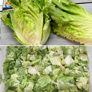 Découpeuse de feuilles de <span class=keywords><strong>basilic</strong></span> d'oignon de printemps de salade de la grande sortie 3 T/H avec le moteur comme composant de noyau - Product Image 3