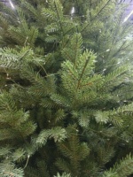 Neues Modell Reiner PE Extra-Dichter Brandneuer Realistischer Baum für Weihnachtsdekoration und Weihnachtsbaum-Arrangement