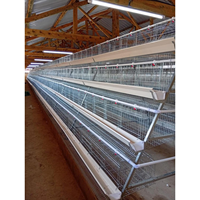Nouvelle cage à poulets de type 3/4 étages en acier galvanisé à chaud, capacité de 10 000 poulets pour l'élevage avicole