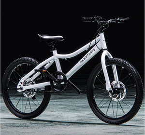 ขายส่ง 16 20 นิ้วจักรยานเด็กเหล็กคาร์บอนกรอบสําหรับเด็กความเร็วจักรยานเสือภูเขาจักรยานสําหรับเด็ก - Product Image 5