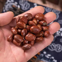 Graines de litchi 100% naturelles, séchées, non-OGM, pures et brutes, pour une collation saine, une boisson ou un complément alimentaire.