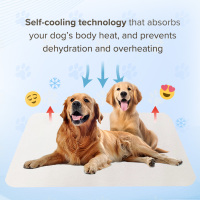 Tapis rafraîchissant imperméable et résistant aux températures extrêmes pour chien, tapis de bureau rafraîchissant pour humain