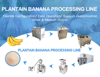 Automatische Bananenmeel Productielijn Natuurlijke Groene Weegbree Poeder Productielijn Voor Verkoop