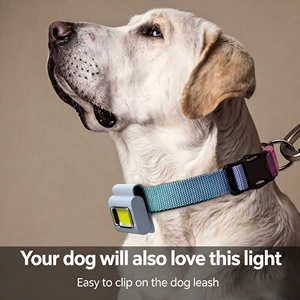 Collier lumineux LED rechargeable <span class=keywords><strong>pour</strong></span> chien, lumière de sécurité <span class=keywords><strong>pour</strong></span> animaux de compagnie à clipser <span class=keywords><strong>pour</strong></span> <span class=keywords><strong>la</strong></span> marche nocturne, lampe torche étanche <span class=keywords><strong>pour</strong></span> laisse de chien <span class=keywords><strong>pour</strong></span> <span class=keywords><strong>la</strong></span> randonnée nocturne - Product Image 4