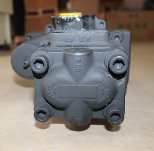 Bomba Hidráulica PVD-2B-50BP-21G5-4597J para Excavadora, Repuestos de Pistón Axial OEM - Product Image 2