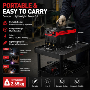 Equipo <span class=keywords><strong>de</strong></span> Soldadura Portátil Nuevo <span class=keywords><strong>MIG</strong></span> TIG MMA sin Gas <span class=keywords><strong>de</strong></span> 220V <span class=keywords><strong>para</strong></span> Acero Inoxidable con Diámetro <span class=keywords><strong>de</strong></span> Hilo Sólido <span class=keywords><strong>de</strong></span> 0.8mm - Product Image 4