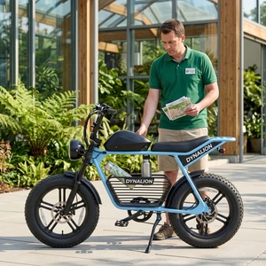 Bicicleta Eléctrica Ecológica con Neumáticos Anchos y Asistencia al Pedaleo Confiable, Bicicleta de Paseo Suave para Recorridos Turísticos Guiados en Jardines Botánicos - Product Image 1
