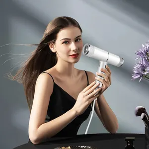 Shenzhen 3 1 profesyonel taşınabilir negatif iyon Salon otel ev saç kurutma makinesi yüksek hızlı saç Blower kurutma makinesi