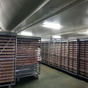 Incubateur de grande capacité pour 60 000 œufs, équipement commercial d'éclosion en lot, machine intelligente d'éclosion de volailles - Product Image 6
