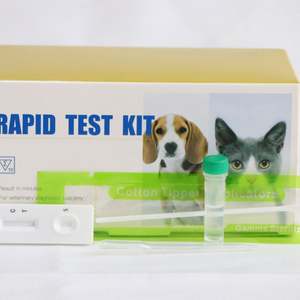 Canine cryptosporidio Antigen, prueba rápida/CRYPTO Ag - Product Image 3