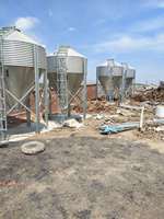 Nouveaux silos d'alimentation spécialisés avec système d'alimentation automatique, longue durée de vie, galvanisés à chaud pour les éleveurs de volailles, de porcs et de bovins