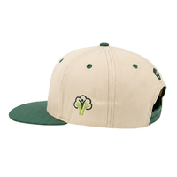 Casquette snapback unisexe en sergé haute densité avec broderie 3D stéréo à bord plat rigide, idéale pour la mode tendance street dance et le hip-hop.