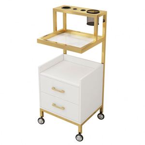 Peluquería móvil de alta calidad Styling Car Beauty Salon Tool Car Hair Salon Trolley - Product Image 2