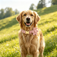 Ensemble collier et laisse en velours pour chien avec décoration florale et porte-sac à déjections, collier de promenade réglable pour toutes les races de chiens