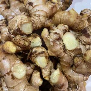 ขิงสดใหม่จากเวียดนามที่มีรสชาติเข้มข้น100% สดใหม่สำหรับผู้ผลิตอาหารและชาสมุนไพร - Product Image 6
