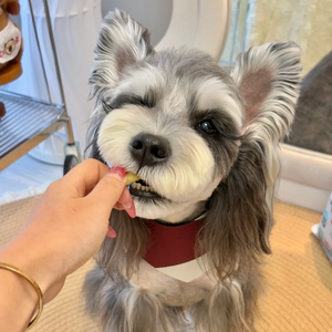 थोक उच्च मांस सामग्री फ्रीज सूखे कुत्ते थोक ऑर्डर पैकेजिंग का इलाज करता है उच्च प्रोटीन अनाज मुक्त कुत्ते नाश्ता - Product Image 1