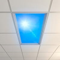 Panneau lumineux LED à intensité variable en 3 couleurs, lumière du ciel artificielle, CCT commutable, lampe de plafond ciel bleu pour bureau, maison, travail