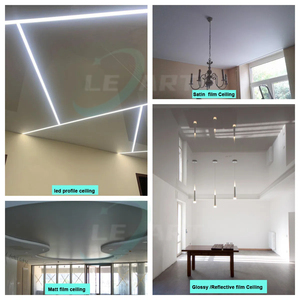 Tela decorativa suspendida PVC Lambris Mat textura membrana artesonado <span class=keywords><strong>techo</strong></span> elástico para sótano hogar Cocina - Product Image 2