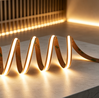 Bande LED COB sans points à CRI90 élevé, découpe libre, 528 LED/m, 24V, 180° °   Projecteur IP33 pour lettres lumineuses et rétroéclairage de caissons lumineux