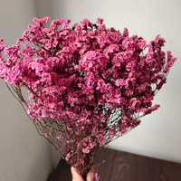 Herbe de cristal préservée pour projets de bricolage Arrangements de fleurs Caspea de taille personnalisée Mariages Graduations Matériaux de bouquet de ménage