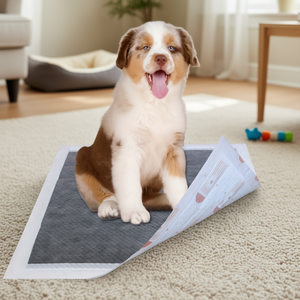 Almohadillas de Entrenamiento para Perros DB Premium, 55 Gramos, Ultra Absorbentes, Eliminan Olores, Impermeables, para Mascotas Diabéticas - Product Image 2