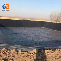 Geomembrana de HDPE/LDPE de 1 mm, Anti-UV, Diseño Moderno, Impermeable, Reciclable, Ecológica, Revestimientos para Vertederos, Estanques para Cría de Camarones/Peces
