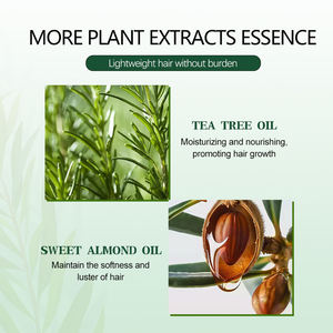 Aceite Esencial Equilibrante de Árbol de Té Personalizado, Etiqueta Privada OEM, Controla la Grasa, Cuidado del Cuero Cabelludo, Fabricante - Product Image 4