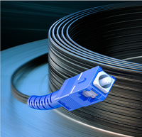 50m 100m 200m extérieur monomode duplex 1 2 cœurs SC UPC fibre optique G657A FTTH câble de dérivation cordon de raccordement fabrication