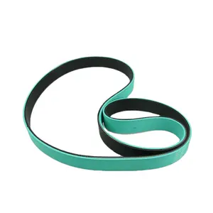 I produttori vendono verde di alta qualità elastico cinghia piatta